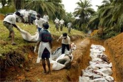 A few of the Tamil dead from the ongoing civil war