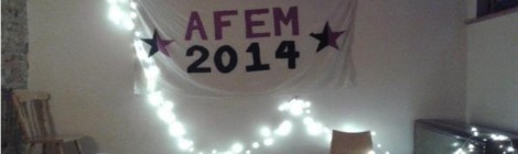Help make AFem2014 accessible and international!