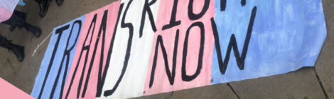 a banner painted blue pink and white in trans flag style, with black text reading TRANS RIGHTS NOW, it had been laid on the ground in front of some protesters, a raindbow gay pride flag can be seen flying behind it