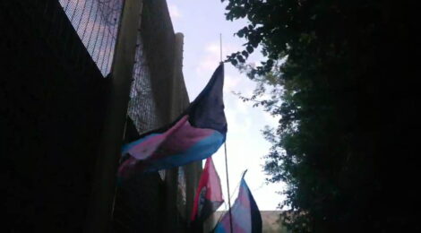 A picture aimed up in the air, three flags are visable along side the high fence of a prison wall on the left, and trees and bushes to the right. The flags are two 'trans anarchist' flags, and one red and black anarchist federation flag